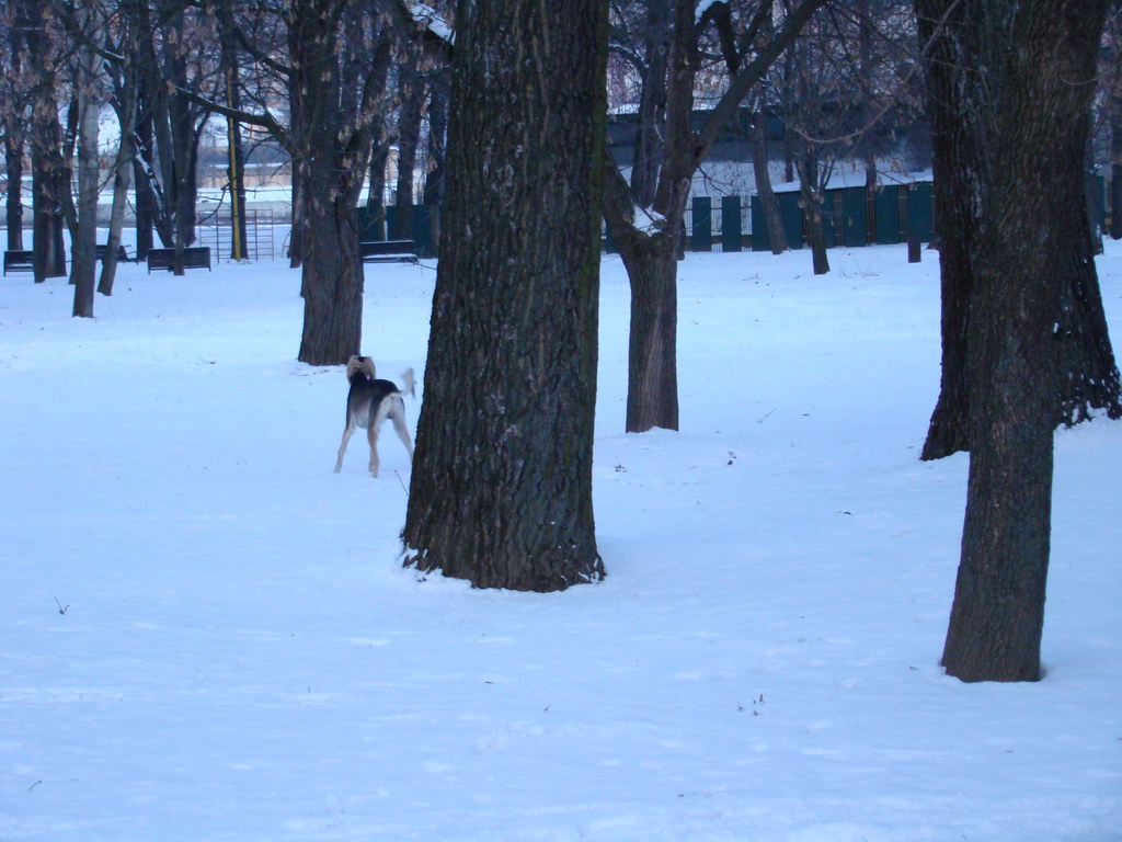 Anička 2.1.2008