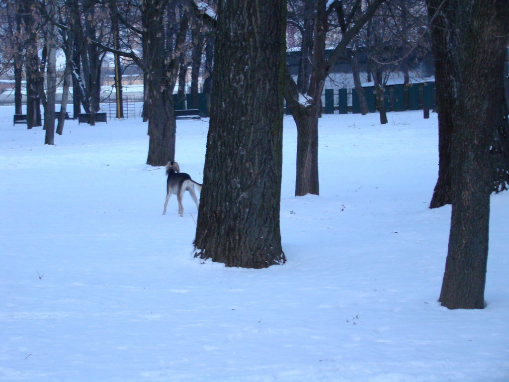 Anička 2.1.2008