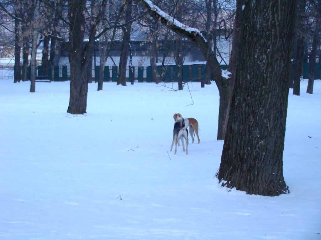 Anička 2.1.2008