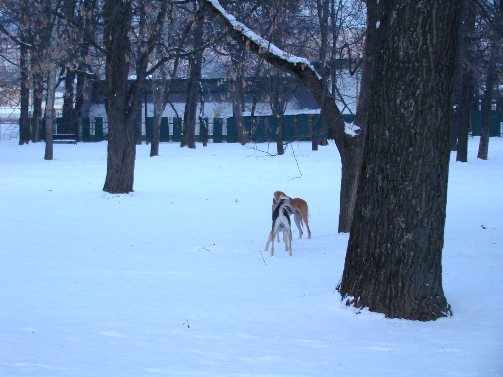 Anička 2.1.2008