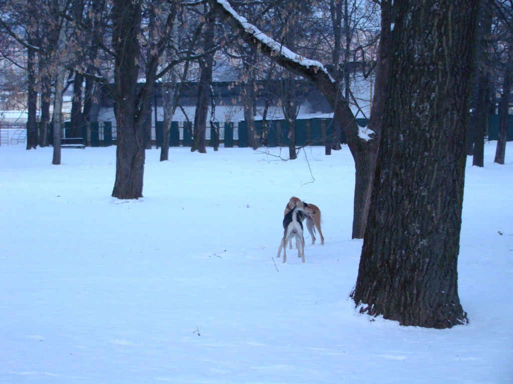 Anička 2.1.2008