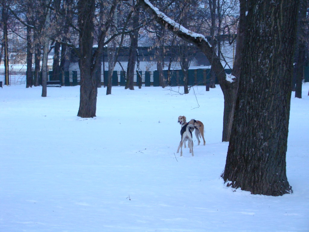 Anička 2.1.2008