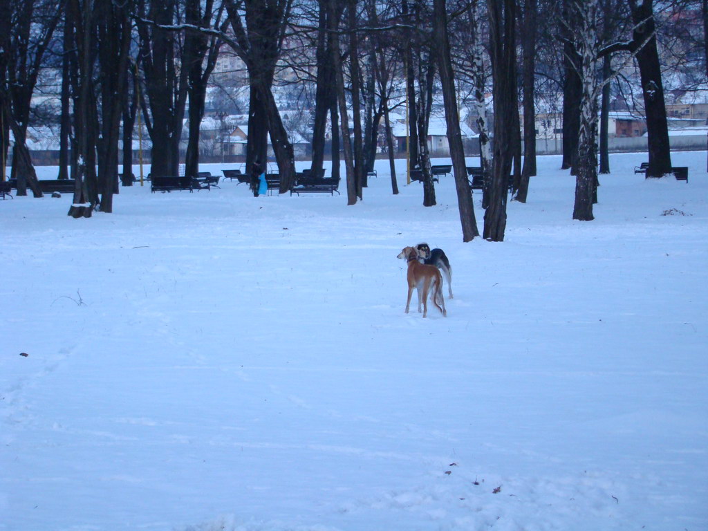 Anička 2.1.2008