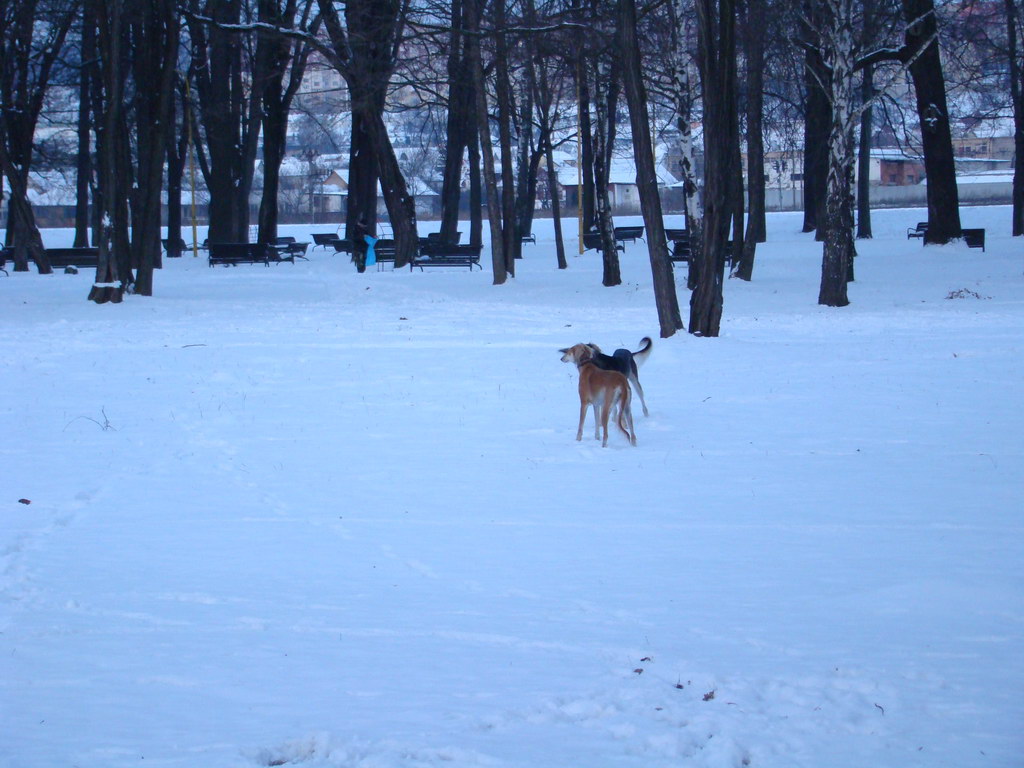 Anička 2.1.2008