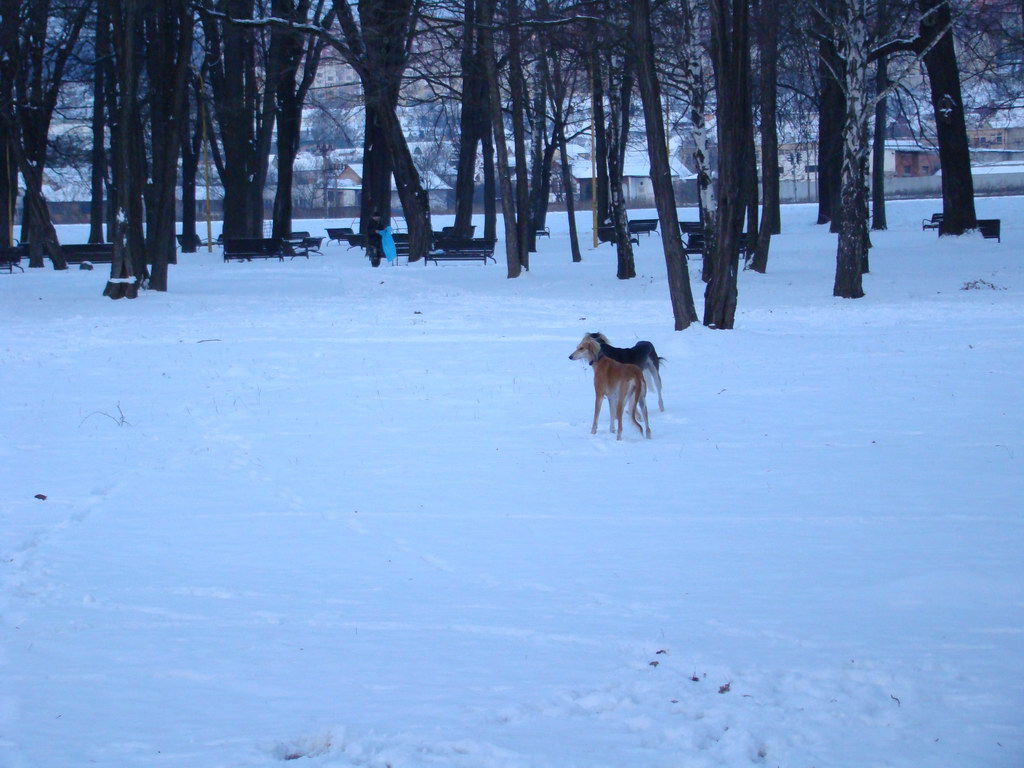 Anička 2.1.2008