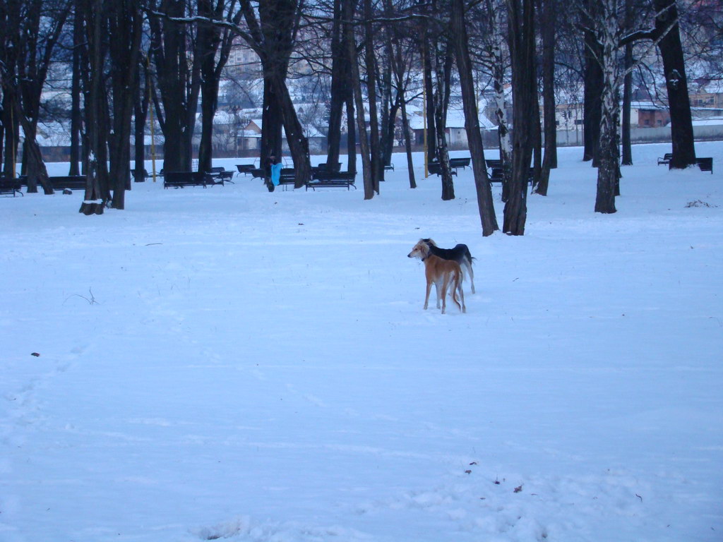 Anička 2.1.2008