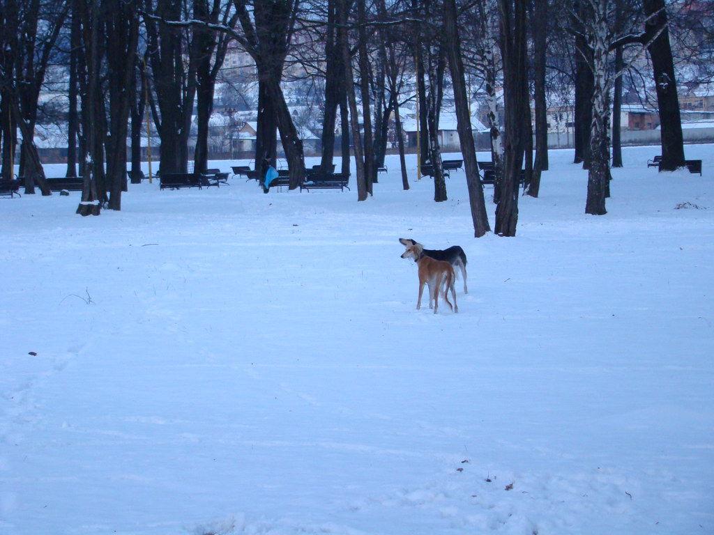 Anička 2.1.2008