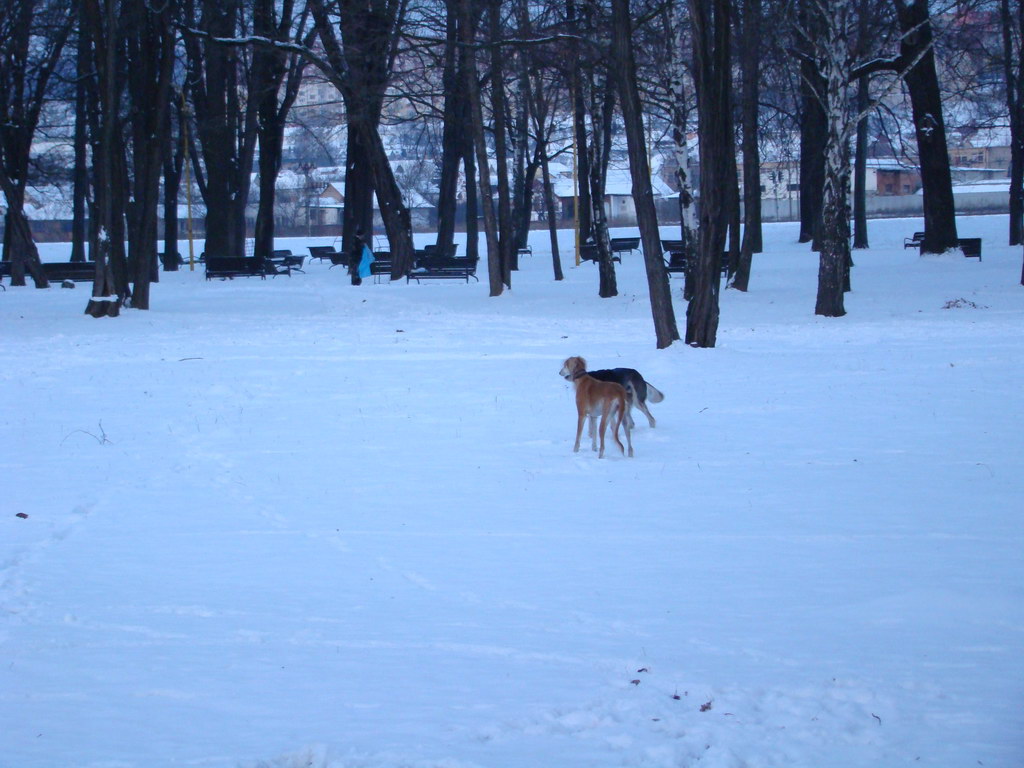 Anička 2.1.2008