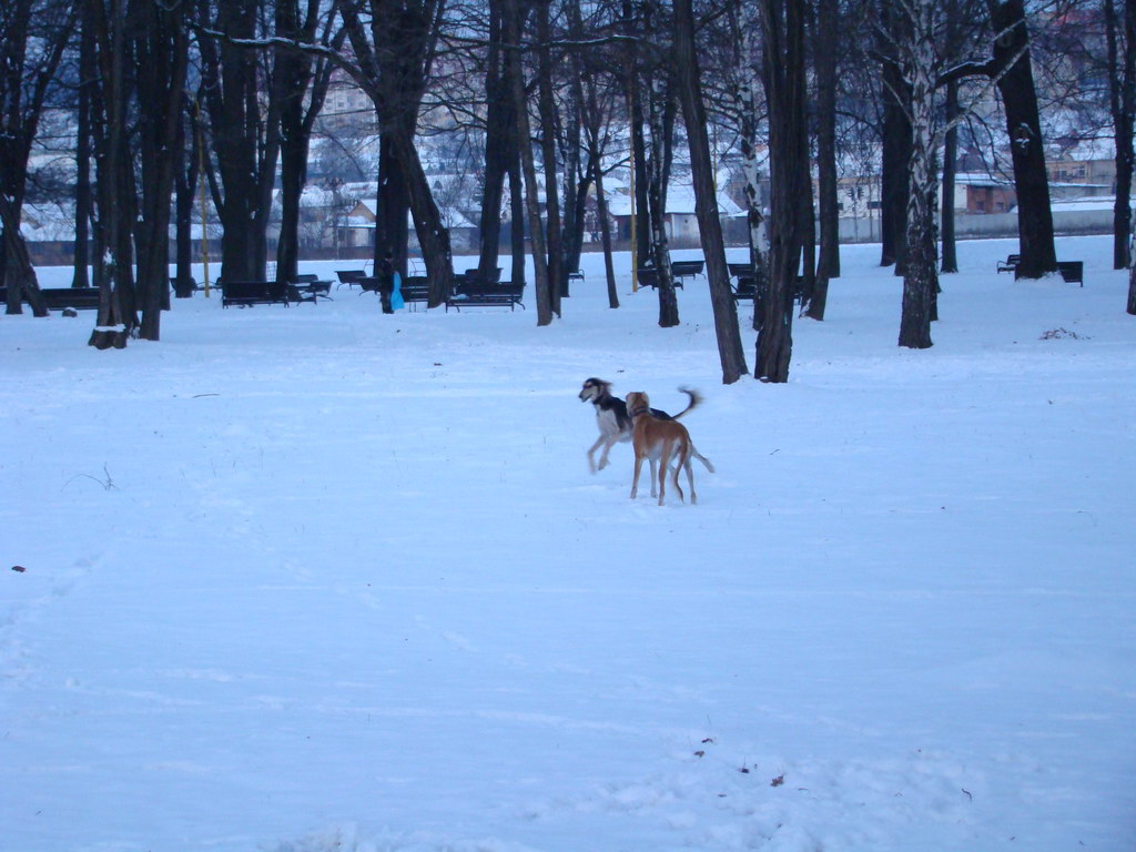 Anička 2.1.2008