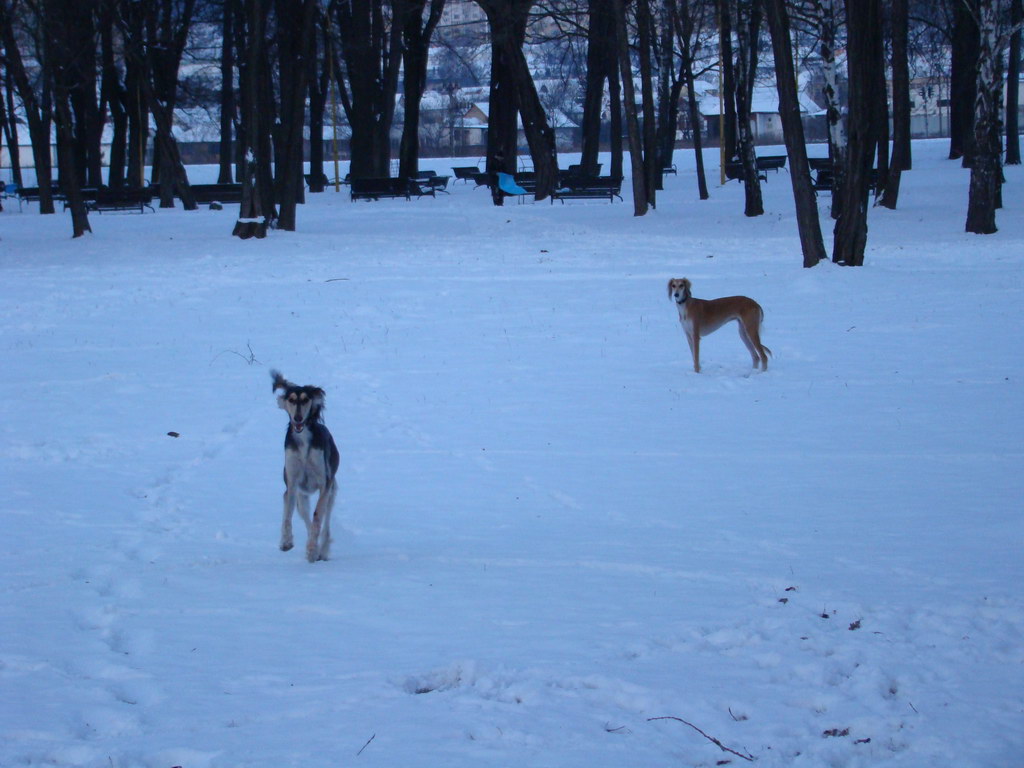 Anička 2.1.2008