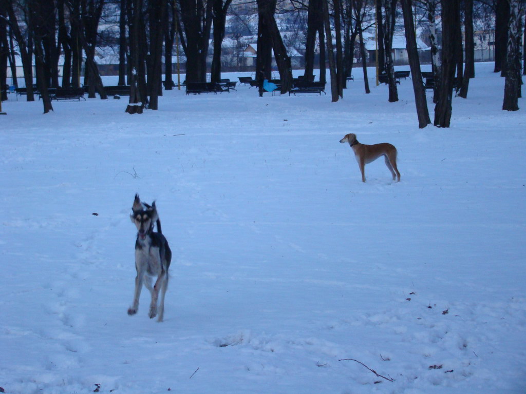 Anička 2.1.2008