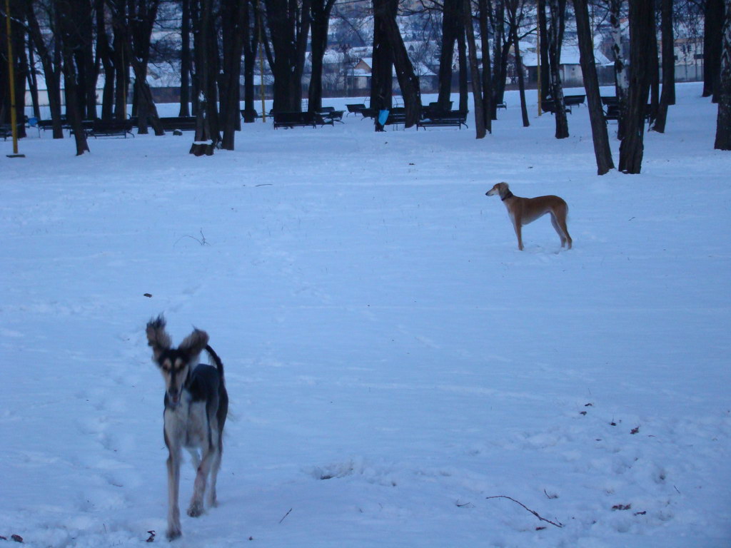 Anička 2.1.2008