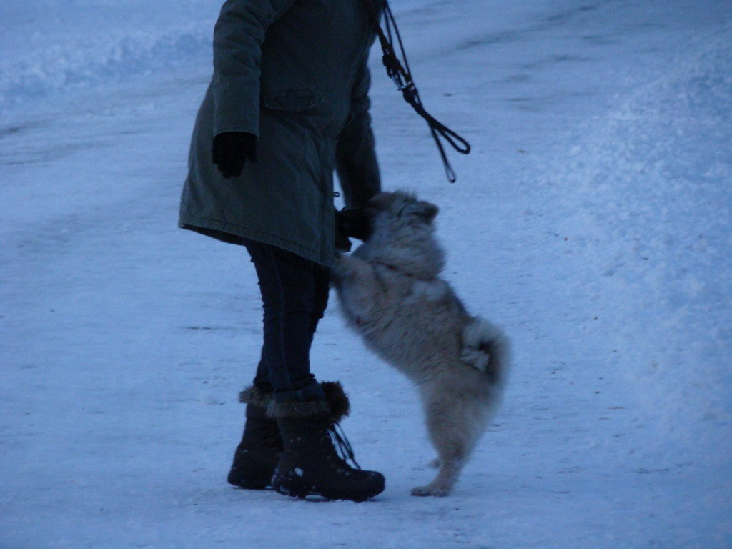 Anička 2.1.2008