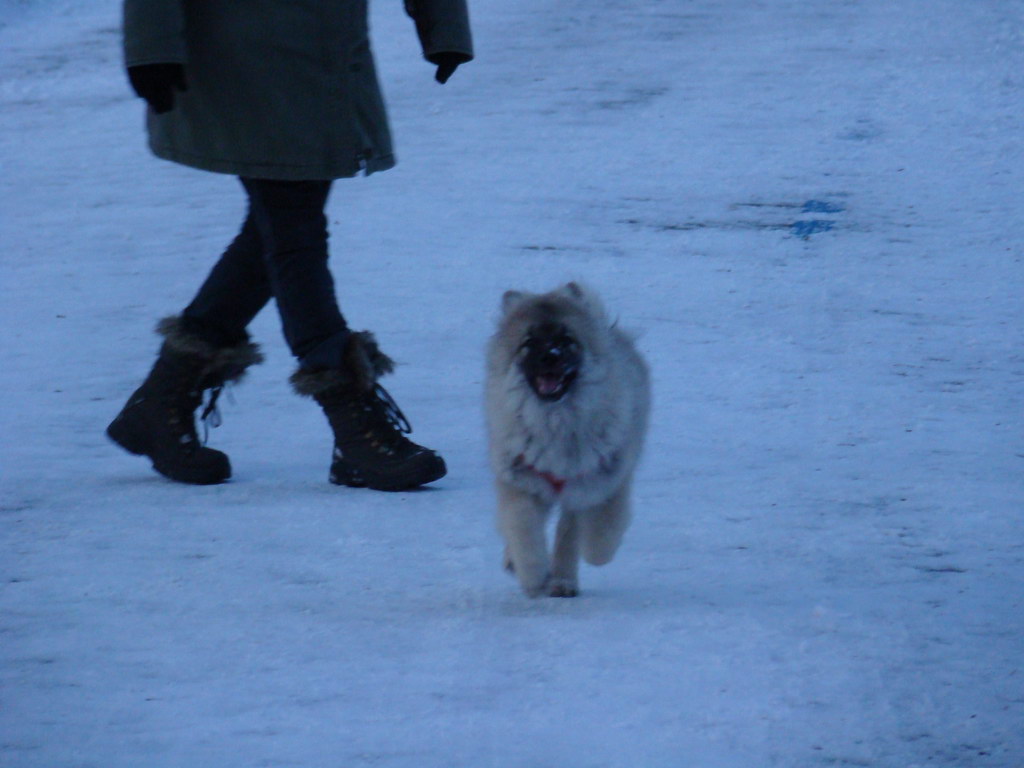 Anička 2.1.2008