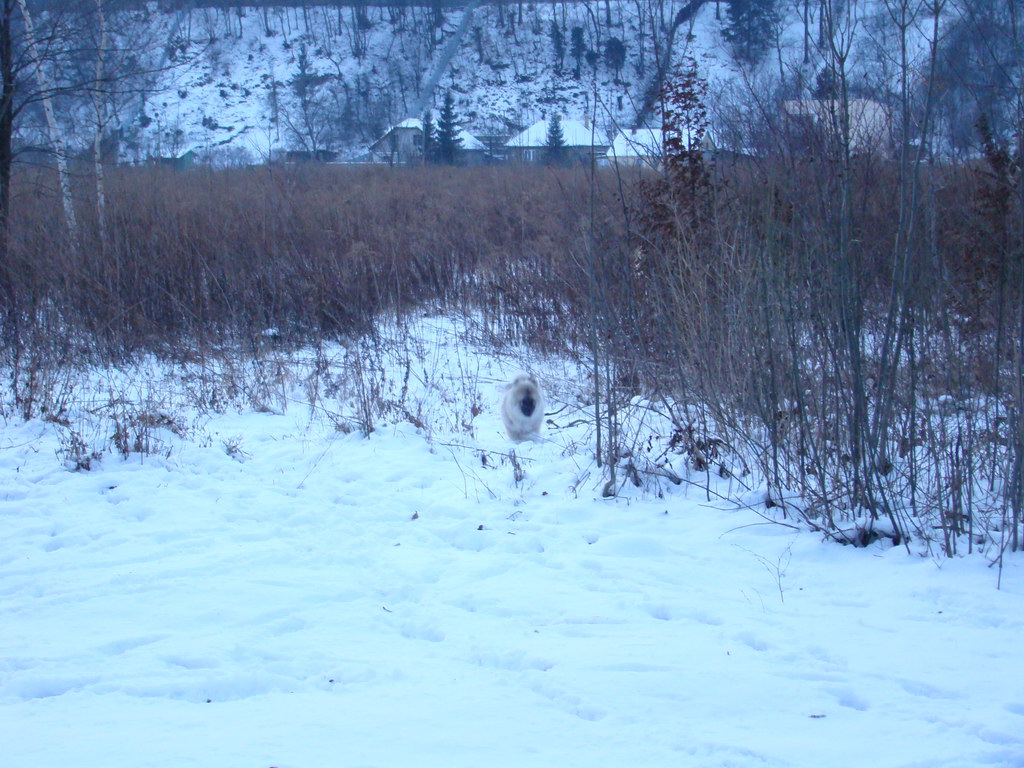 Anička 2.1.2008