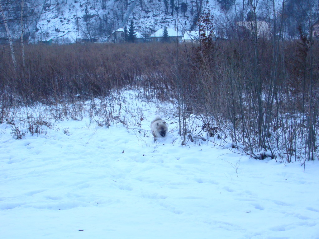 Anička 2.1.2008