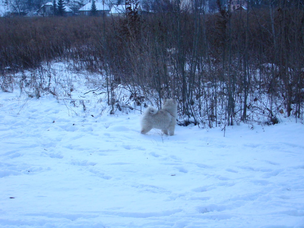 Anička 2.1.2008