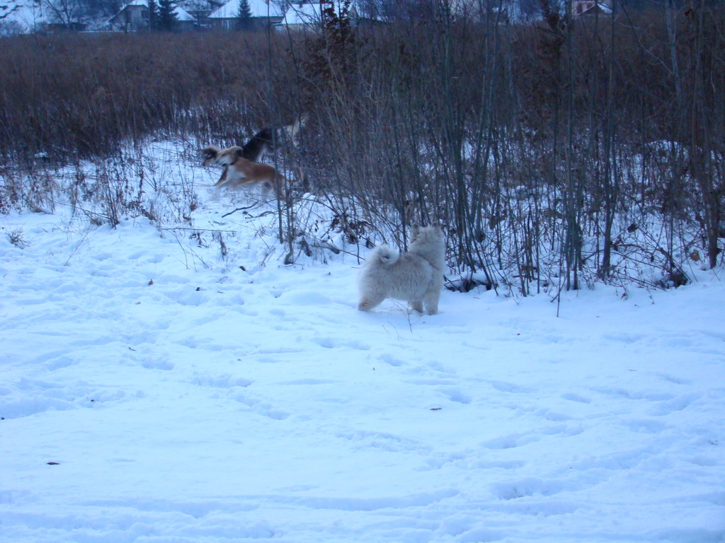 Anička 2.1.2008