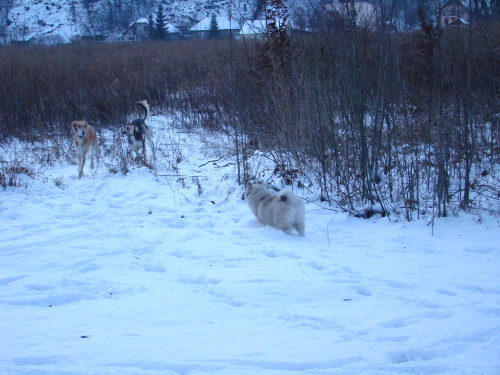 Anička 2.1.2008