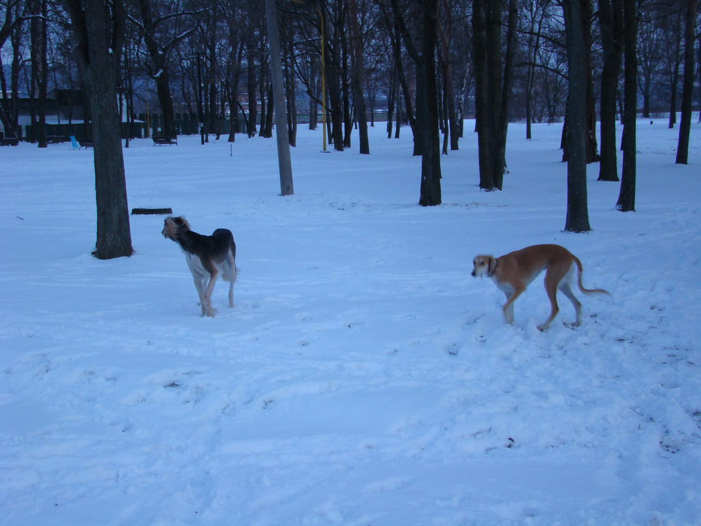 Anička 2.1.2008