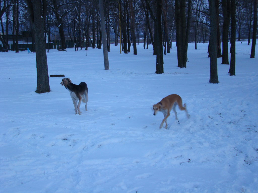 Anička 2.1.2008