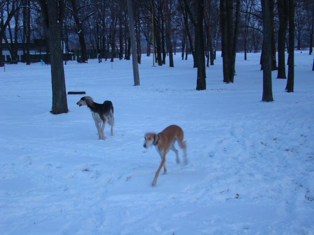 Anička 2.1.2008