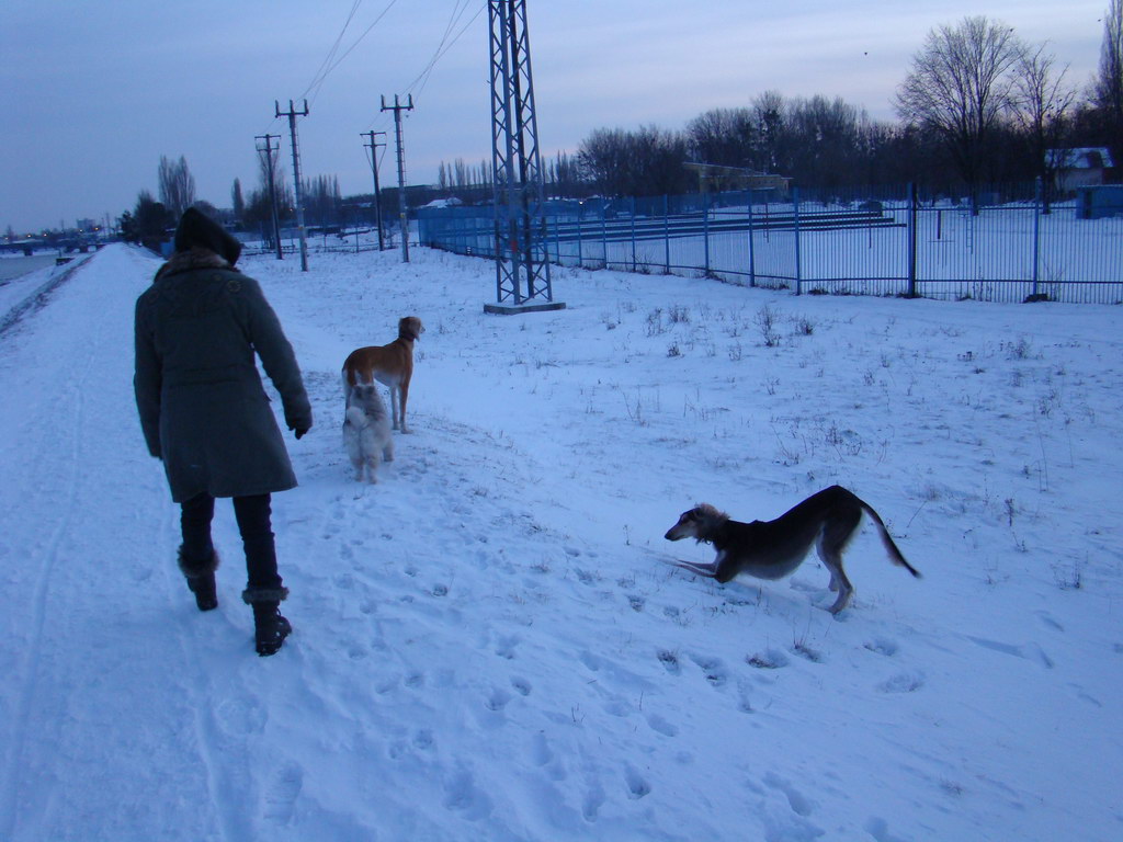 Anička 2.1.2008