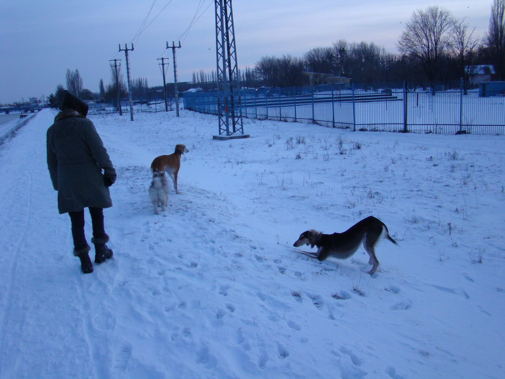 Anička 2.1.2008