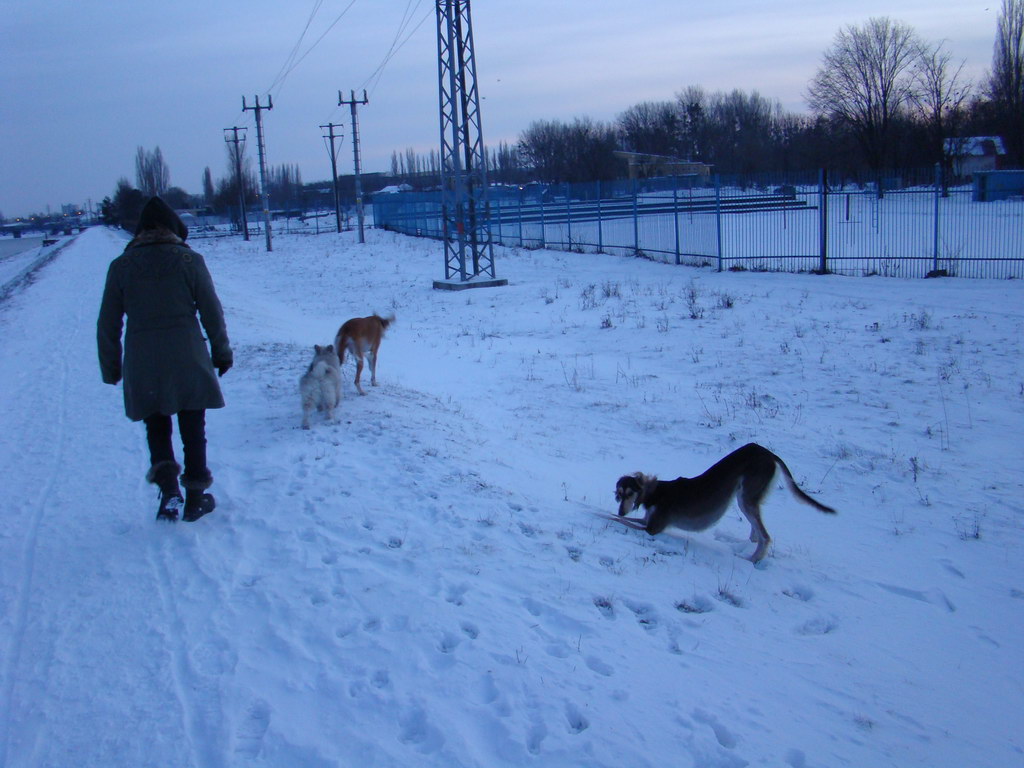 Anička 2.1.2008