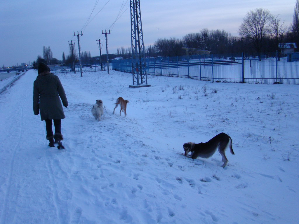 Anička 2.1.2008