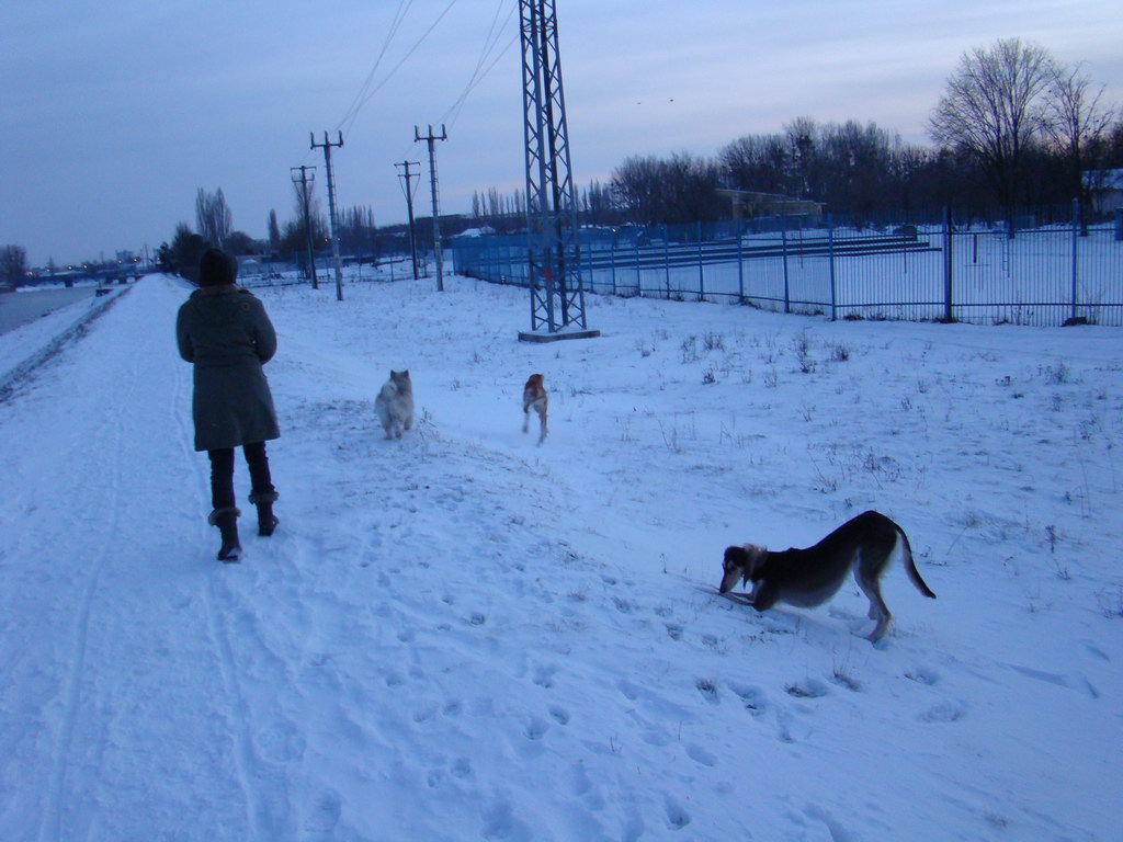 Anička 2.1.2008