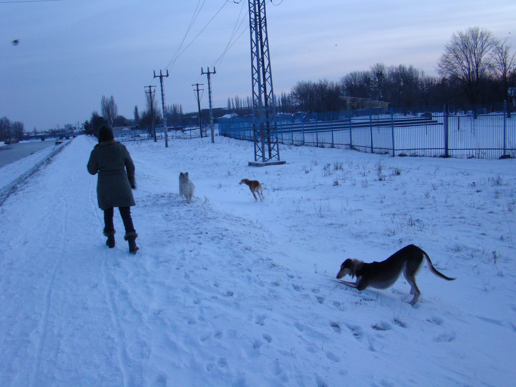 Anička 2.1.2008