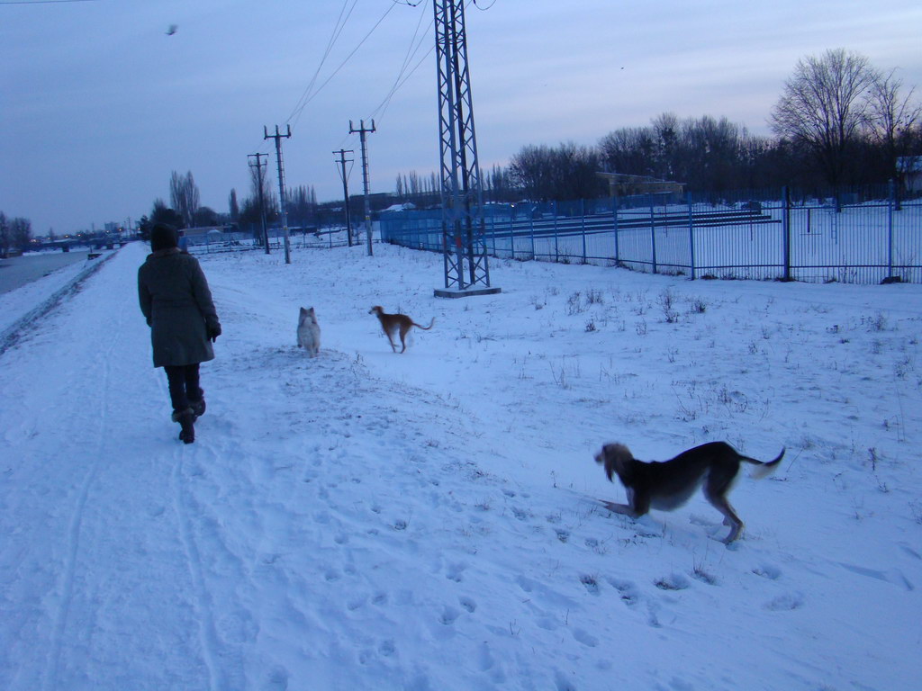 Anička 2.1.2008