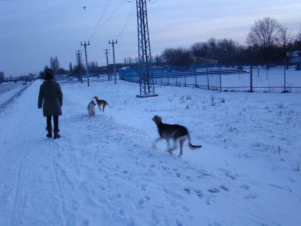 Anička 2.1.2008