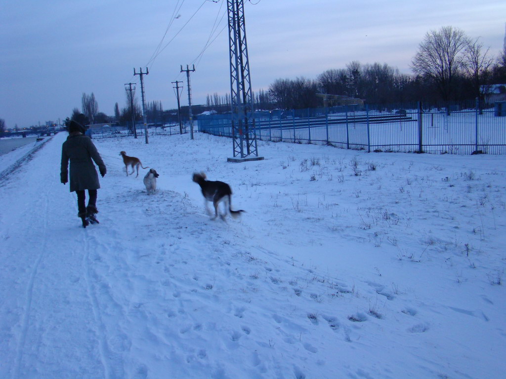 Anička 2.1.2008