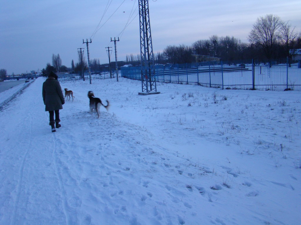 Anička 2.1.2008