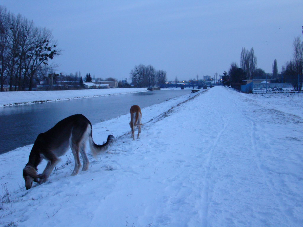 Anička 2.1.2008