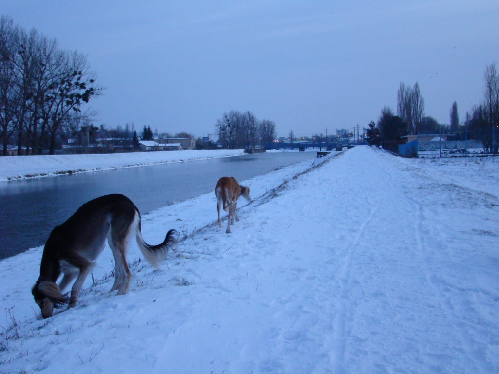 Anička 2.1.2008