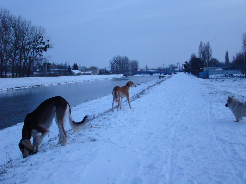 Anička 2.1.2008