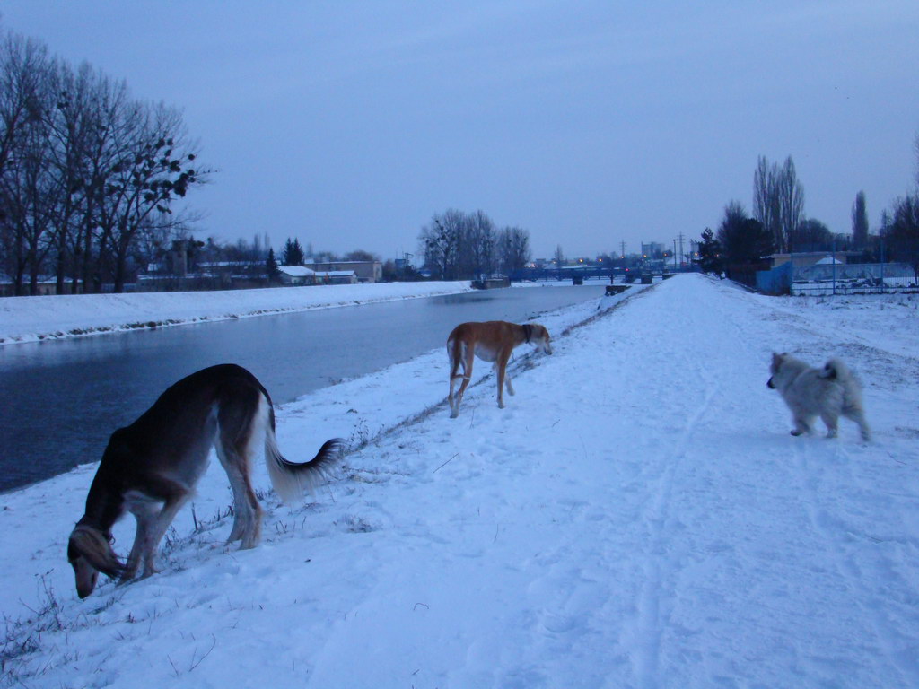 Anička 2.1.2008