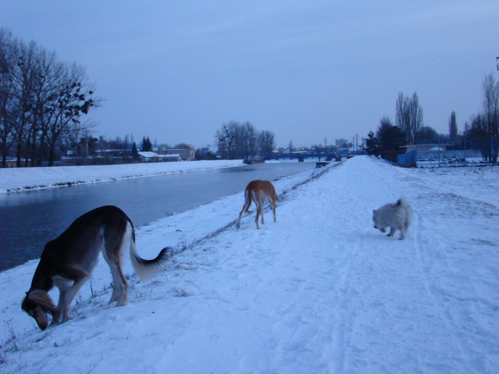 Anička 2.1.2008