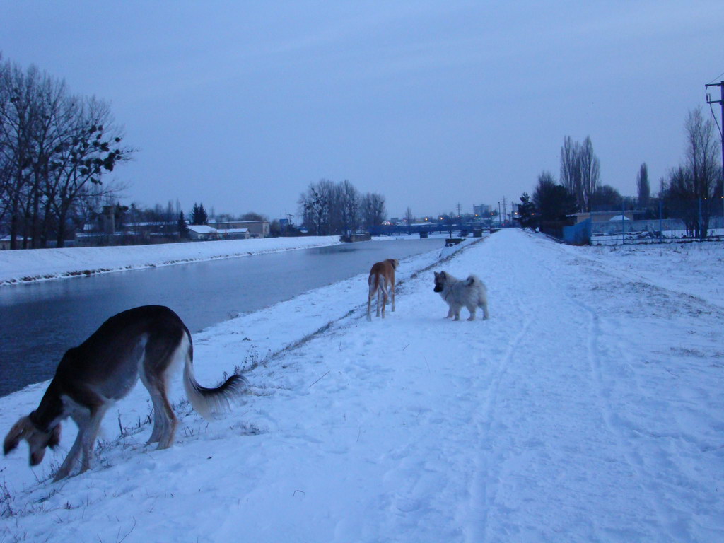 Anička 2.1.2008