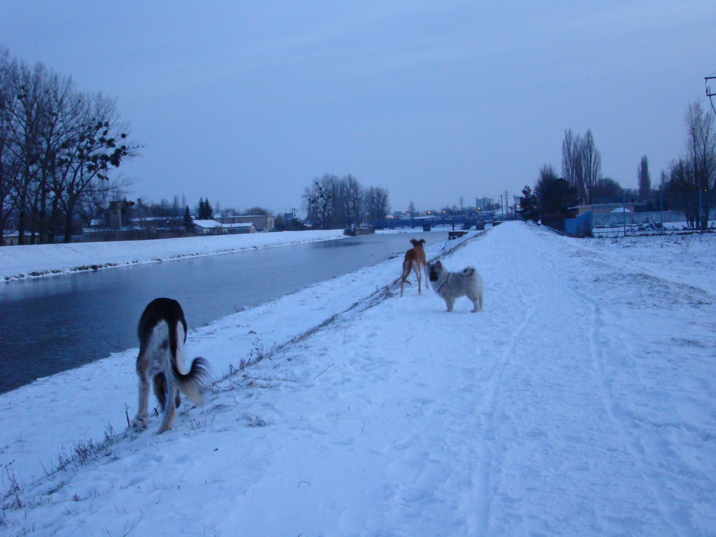 Anička 2.1.2008