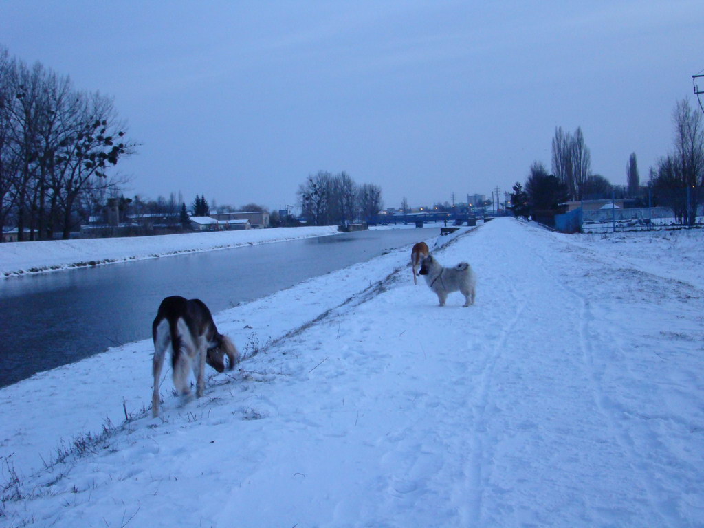 Anička 2.1.2008