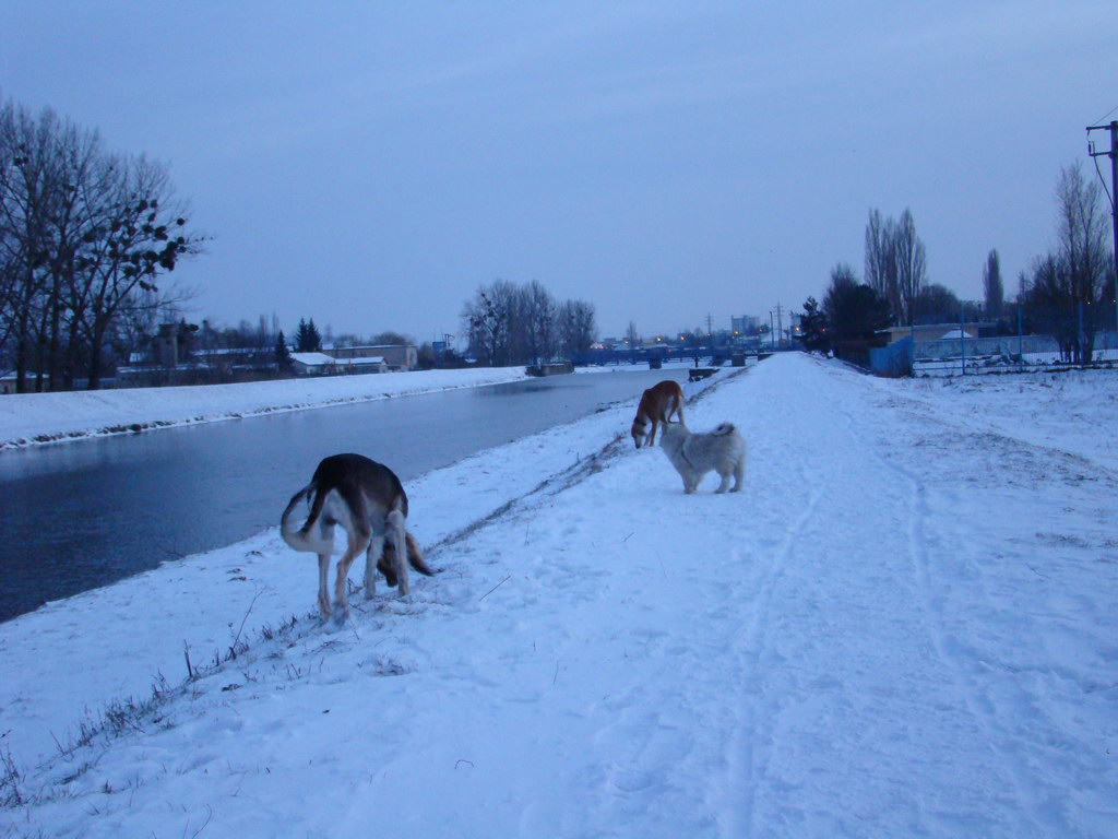 Anička 2.1.2008