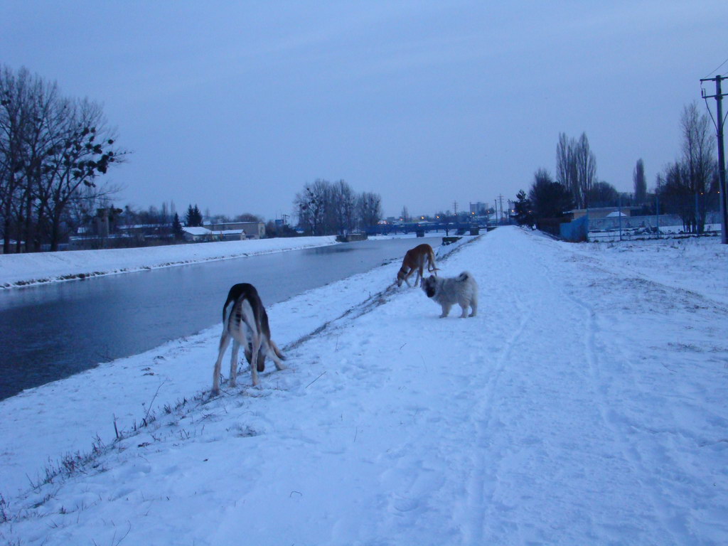 Anička 2.1.2008