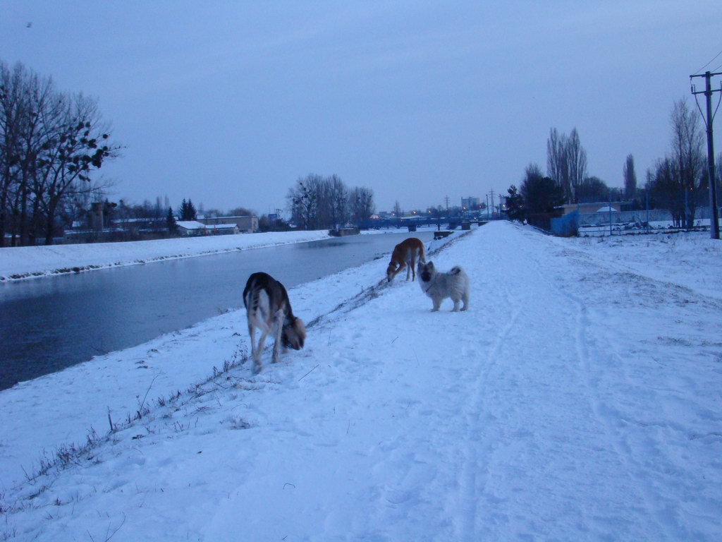 Anička 2.1.2008