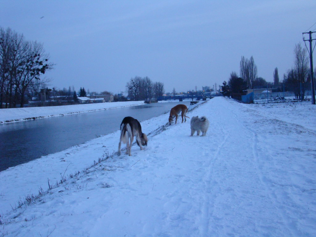 Anička 2.1.2008