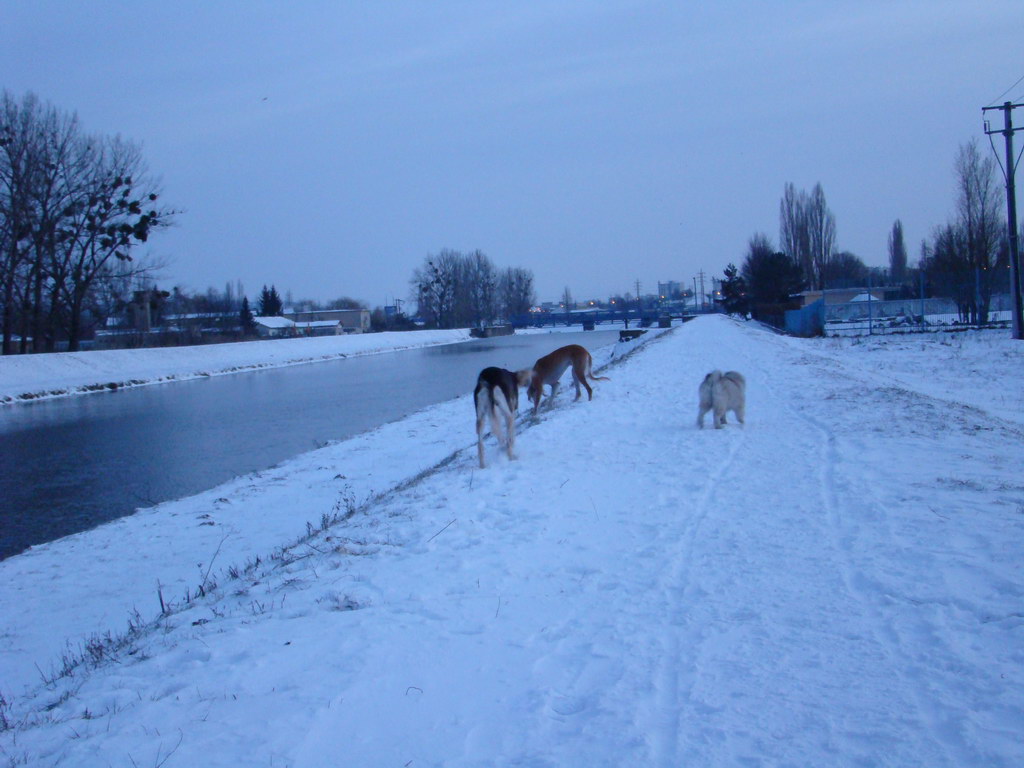 Anička 2.1.2008