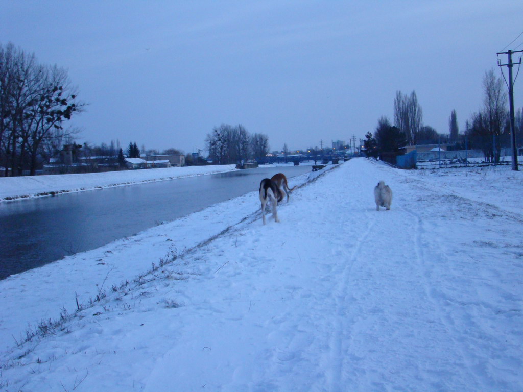 Anička 2.1.2008